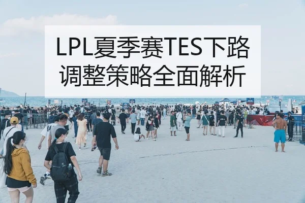 LPL夏季赛TES下路调整策略全面解析