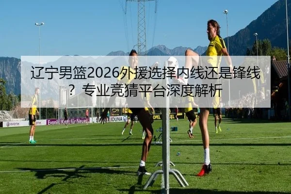 辽宁男篮2026外援选择内线还是锋线？专业竞猜平台深度解析